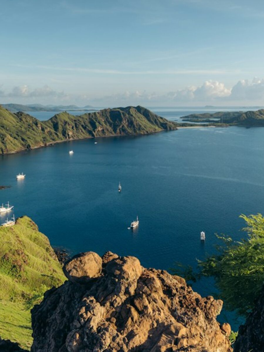 Komodo dragon in Komodo National Park