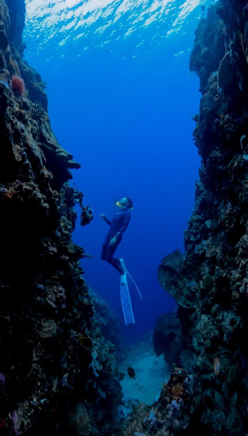 Freediver exploring a coral canyon off Moyo Island