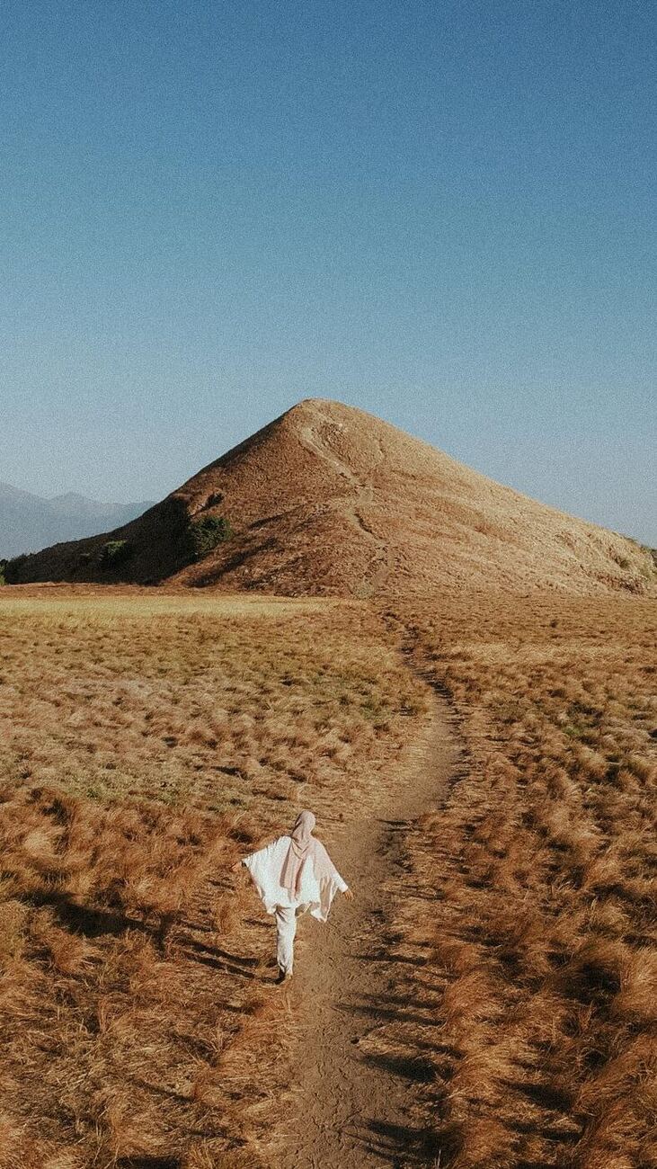 Golden savanna hills of Sumbawa